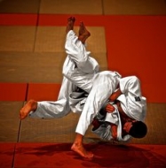 重慶柔道培訓(xùn)